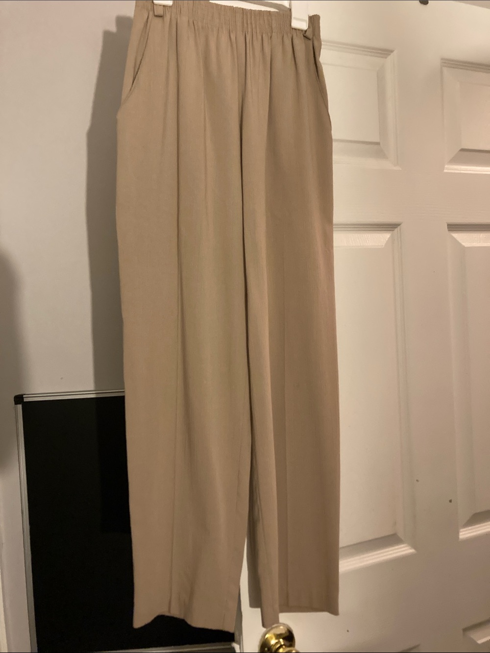 Wide-Leg Elastic Waist Pants in Tan Petite 6